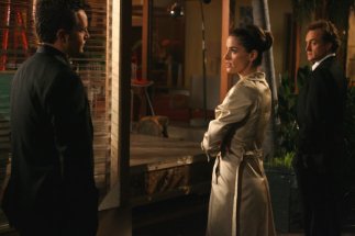 Фото - Аманда Пит: 323x215 / 14 Кб