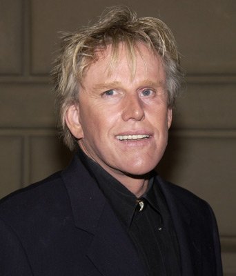 Фото - Гэри Бьюзи: 342x400 / 20 Кб