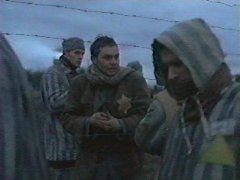 Фото - Дэниэл Броклбэнк: 240x180 / 9 Кб