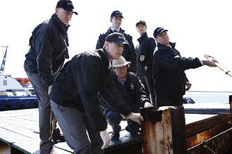 Фото - Марк Хэрмон: 333x222 / 21 Кб