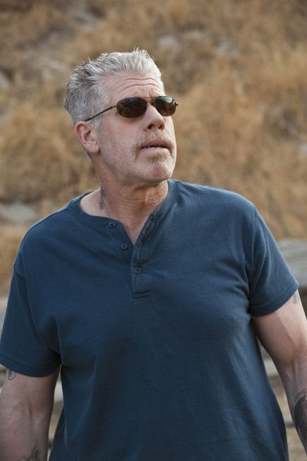 Фото - Рон Перлман: 435x653 / 38 Кб