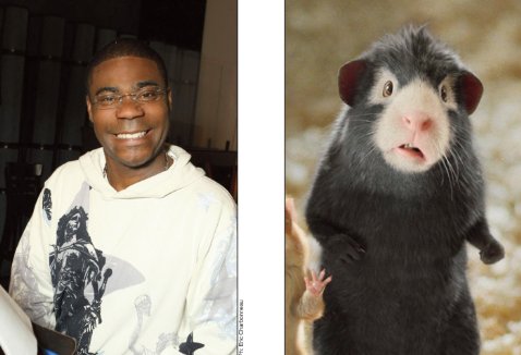 Фото - Трэйси Морган: 478x326 / 28 Кб