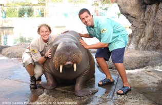 Фото - Адам Сэндлер: 316x206 / 22 Кб