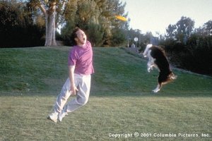 Фото - Роб Шнайдер: 300x200 / 18 Кб