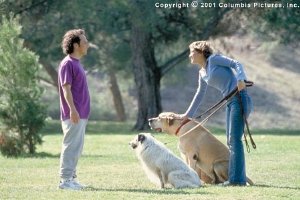 Фото - Роб Шнайдер: 300x200 / 19 Кб