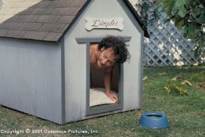 Фото - Роб Шнайдер: 300x200 / 18 Кб