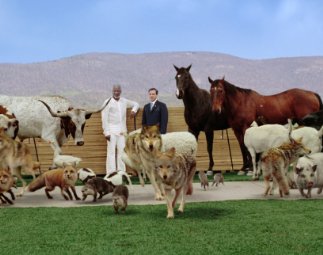 Фото - Стив Карелл: 323x255 / 20 Кб