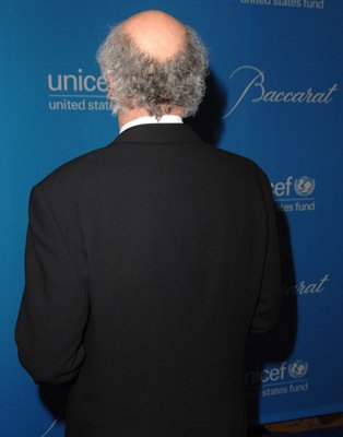 Фото - Ларри Дэвид: 314x400 / 14 Кб