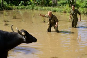 Фото - Джек Блэк: 333x222 / 20 Кб
