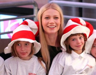 Фото - Гвинет Пэлтроу: 311x242 / 20 Кб