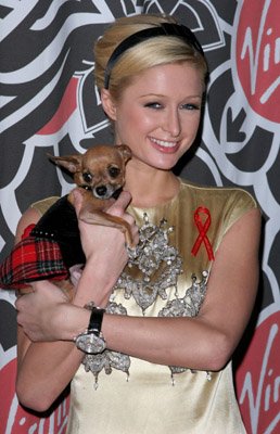 Фото - Пэрис Хилтон: 258x400 / 32 Кб