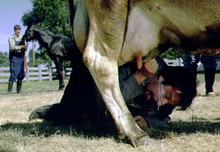 Фото - Том Грин: 312x216 / 23 Кб