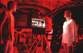 Фото - Стивен Коллинз: 289x186 / 17 Кб