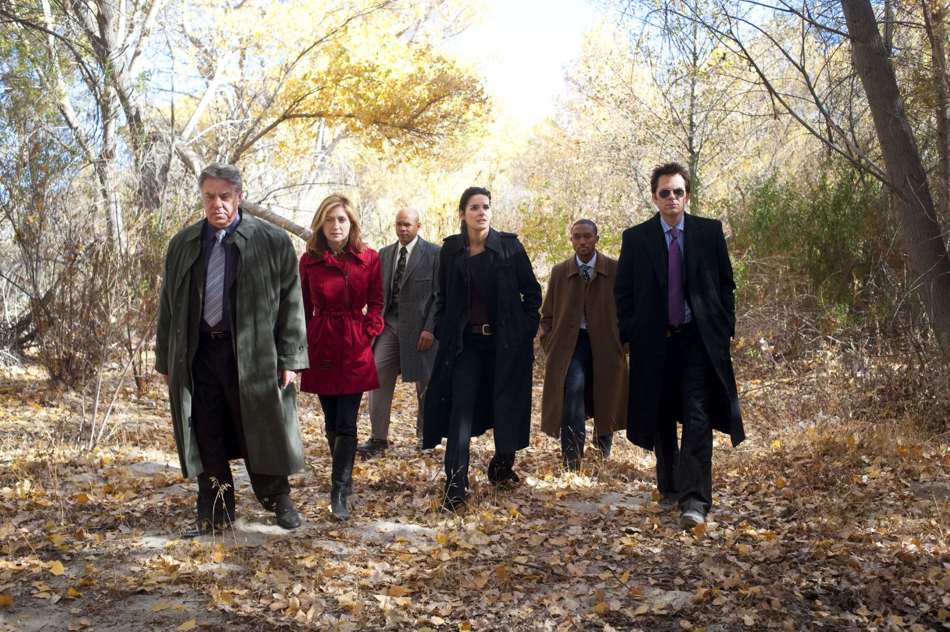 Фото - Брюс МакГилл: 1362x906 / 415 Кб