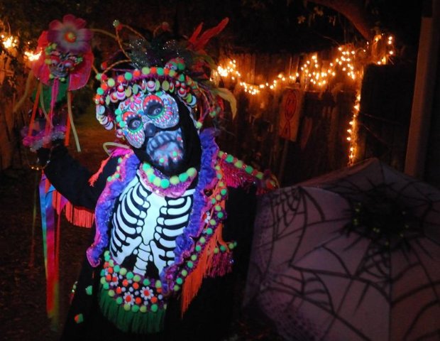 Фото - Эдвард А Кокс: 620x480 / 63 Кб