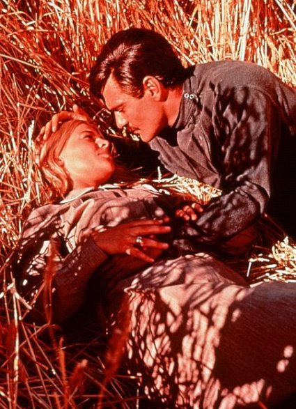 Фото - Омар Шариф: 425x587 / 81 Кб