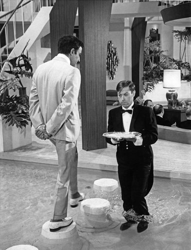 Фото - Стив Фрэнкен: 382x500 / 49 Кб