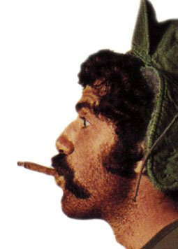 Фото - Эллиотт Гулд: 255x356 / 15 Кб