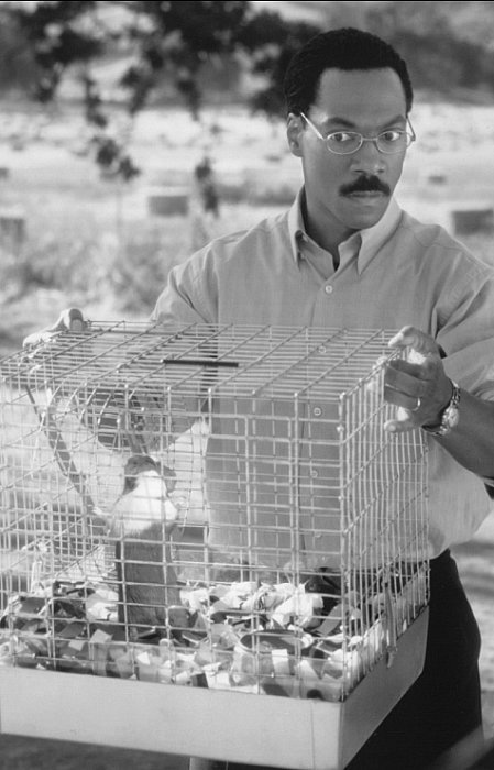 Фото - Эдди Мерфи: 449x700 / 63 Кб