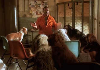 Фото - Эдди Мерфи: 332x232 / 19 Кб