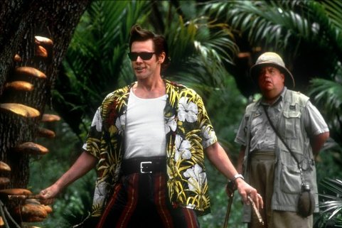 Фото - Иэн МакНис: 481x321 / 43 Кб