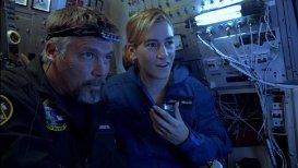 Фото - Mike Cameron: 273x154 / 12 Кб