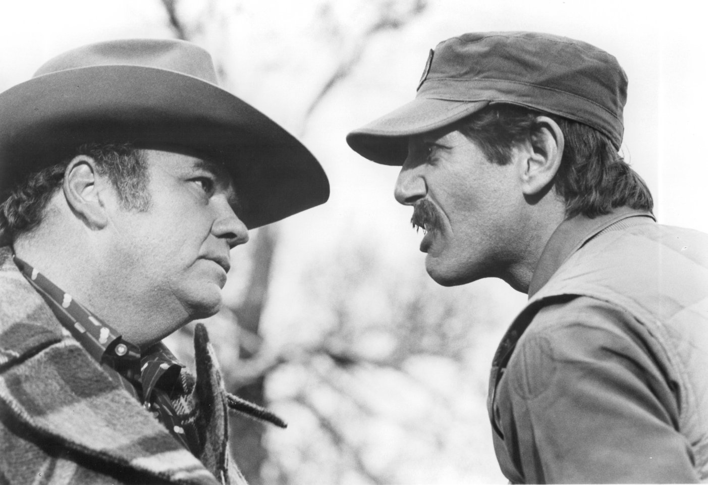 Фото - Питер Койот: 1403x961 / 175 Кб