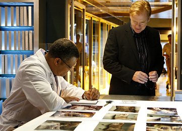 Фото - Дэвид Карузо: 361x261 / 32 Кб