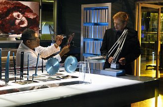 Фото - Дэвид Карузо: 329x216 / 26 Кб