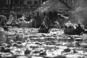 Фото - Анджелина Джоли: 301x201 / 20 Кб