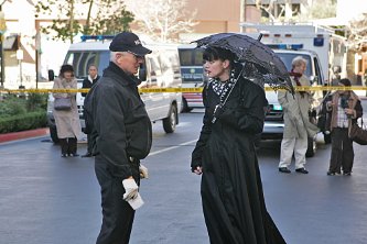 Фото - Поли Перретт: 333x222 / 24 Кб