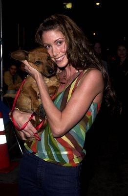 Фото - Шеннон Элизабет: 262x400 / 20 Кб