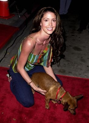 Фото - Шеннон Элизабет: 292x400 / 24 Кб