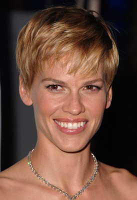 Фото - Хилари Суэнк: 274x400 / 19 Кб