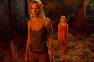 Фото - Хилари Суэнк: 322x214 / 16 Кб