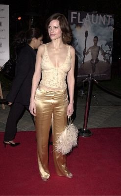 Фото - Хилари Суэнк: 247x400 / 20 Кб