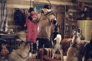 Фото - Кьюба Гудинг мл.: 323x215 / 24 Кб