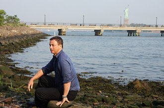 Фото - Гэри Синиз: 330x218 / 21 Кб