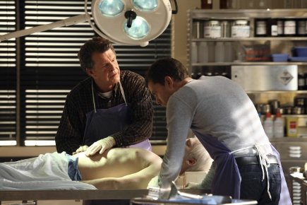 Фото - Джошуа Джексон: 435x290 / 34 Кб