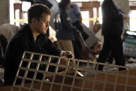 Фото - Джошуа Джексон: 435x290 / 26 Кб