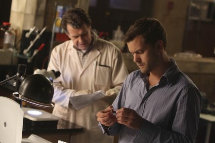 Фото - Джошуа Джексон: 435x290 / 25 Кб