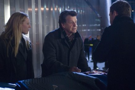 Фото - Джошуа Джексон: 437x292 / 20 Кб