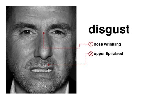 Фото - Тим Рот: 463x328 / 25 Кб