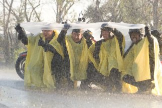 Фото - Мартин Лоуренс: 323x215 / 21 Кб