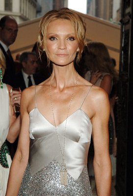 Фото - Джоан Аллен: 271x400 / 25 Кб