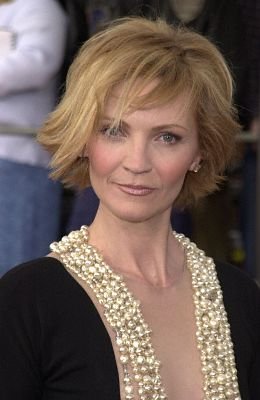 Фото - Джоан Аллен: 260x400 / 21 Кб