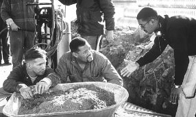 Фото - Стивен Болдуин: 286x172 / 19 Кб