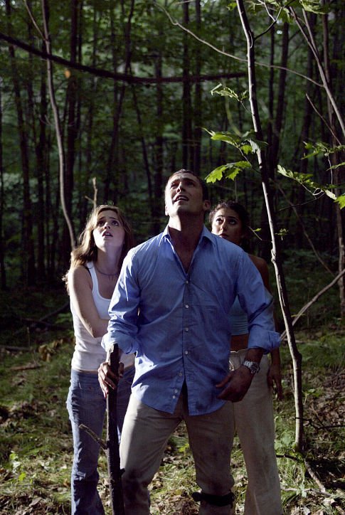 Фото - Элиза Душку: 485x724 / 93 Кб