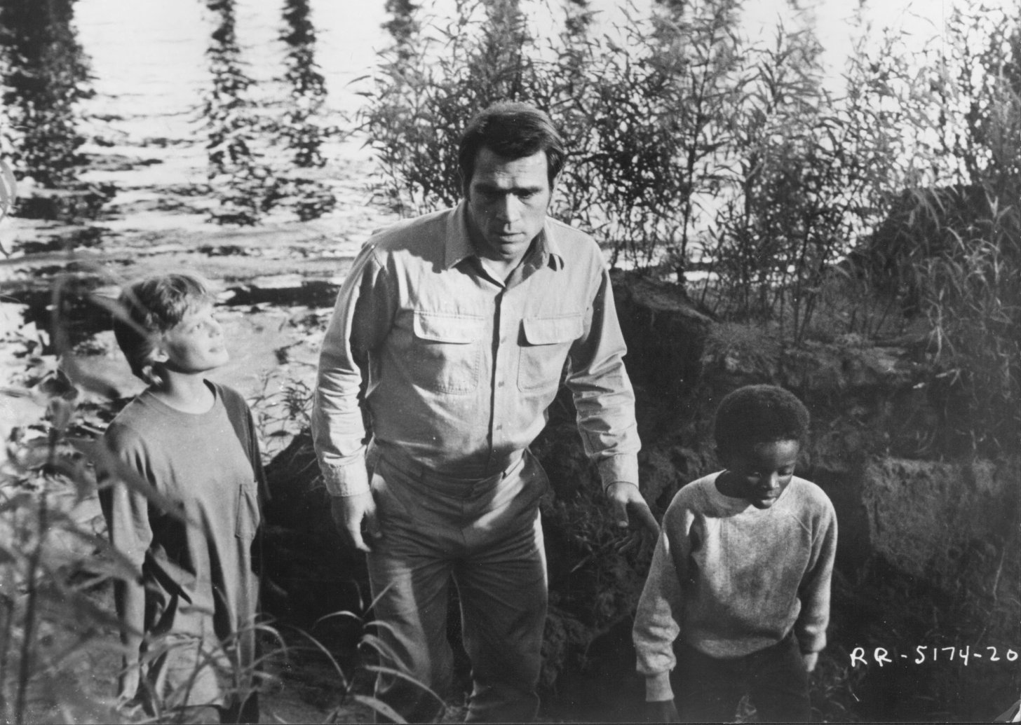 Фото - Марта Плимптон: 1456x1035 / 263 Кб