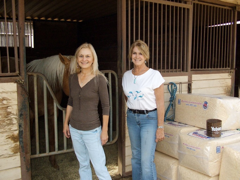 Фото - Willow Hale: 1024x768 / 172 Кб